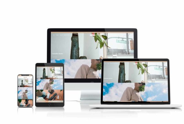 Burb Cannabis website design by ThinkProfits.com